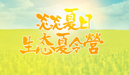 炎炎夏日生态夏令营（火热大量开放报名）